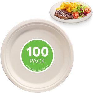 Disposable Biodegradable ODM Oil Proof Sugarcane Bagasse Sauce Plates