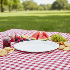 Premium Disposable Round 10 Inch Plate Food Grade PFAS Free Microwave Safe