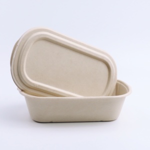2024 Hot Sales Eco Friendly Disposable Bagasse Dinnerware Sets Biodegradable Packaging