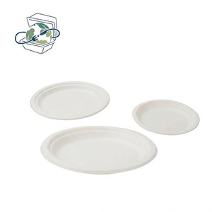 Sugarcane Bagasse Plates Disposable Compostable Biodegradable Eco-Friendly Dinnerware