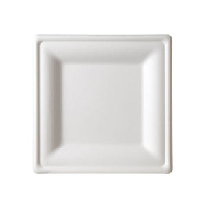 Biodegradable Square Plate Sets Disposable Eco Friendly Dinnerware