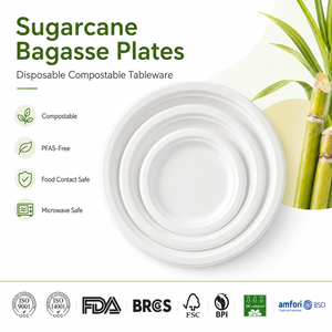 9 Inch Bulk Biodegradable Bagasse Plates Eco-Friendly Sugarcane Pulp Plates