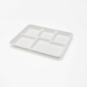 Biodegradable Sugarcane Bagasse Tableware