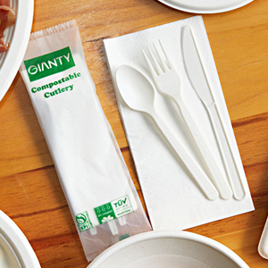 Biodegradable Compostable PLA Cutlery 7 Inch Flatware