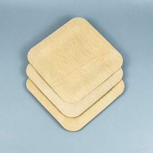 11-Inch Eco-Friendly Square Party & Feast Tray