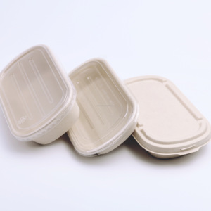 Compostable Eco Friendly 100% Natural Paper Pulp Takeout Tableware Food Container Bagasse to Go Box